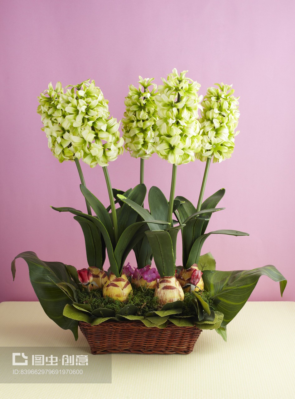 美麗的仿真花插花藝術與繡球花禮品花卉銷售