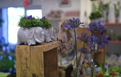 日本農民創(chuàng)業(yè)致富新點子 禮品花卉銷售的啟示與借鑒