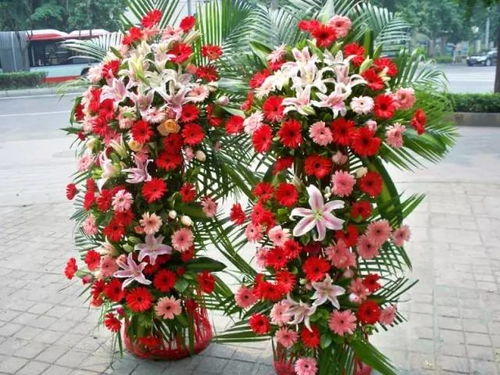 七夕玫瑰之約 128元，贈(zèng)你不期而遇的浪漫與驚喜