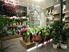 天津禮品花卉銷(xiāo)售 以花為禮，傳遞溫情與祝福